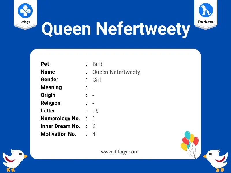 Queen Nefertweety Name Meaning